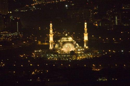distant Mosque