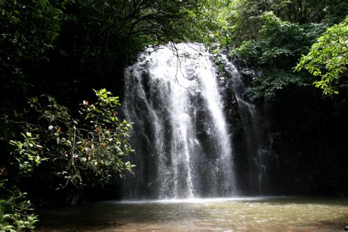 Elinjaa falls