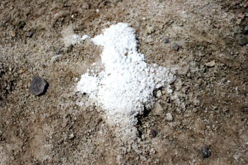 salt crystals