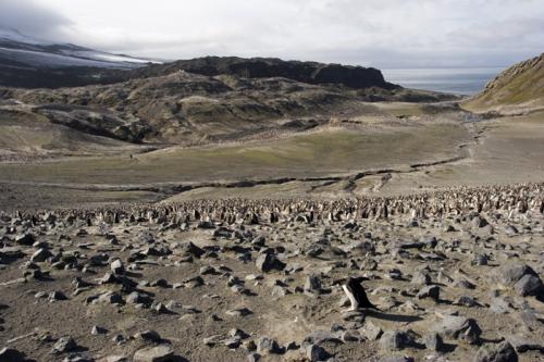 a barren land