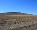Patagonian Steppe