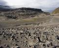 a barren land